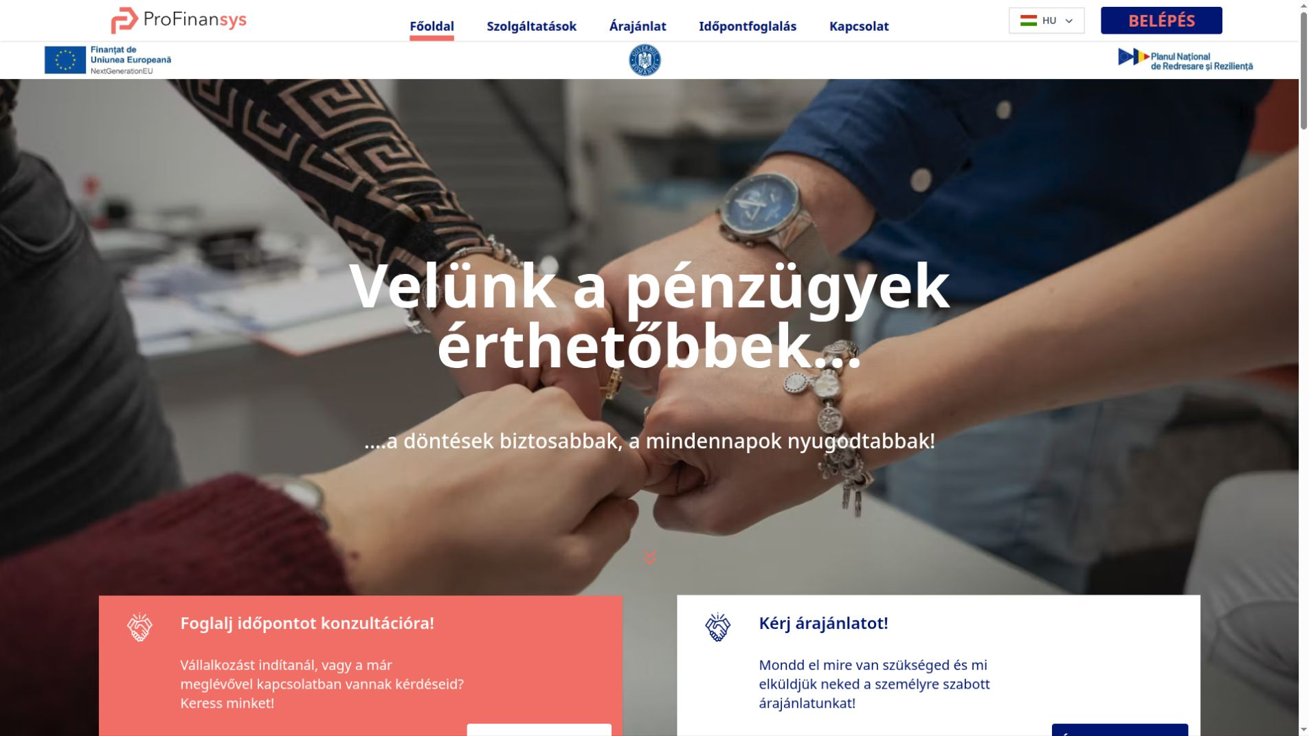 Preview of the Profinansys website